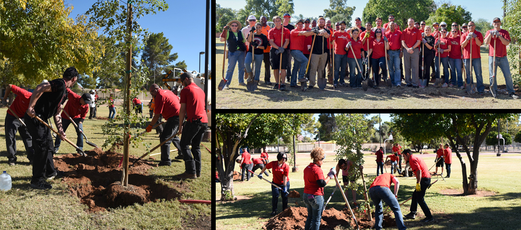 4-13_treeplanting_resource