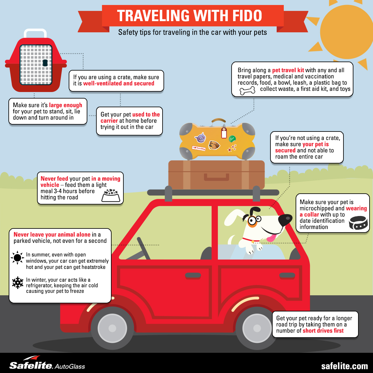 Traveling-with-Fido Pets may often love car travel, but Safelite has car safety tips to protect both you and your pet.